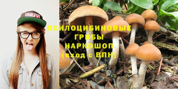 кристаллы Богородицк