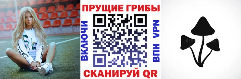 Псилоцибиновые грибы Magic Shrooms  Ессентукская 